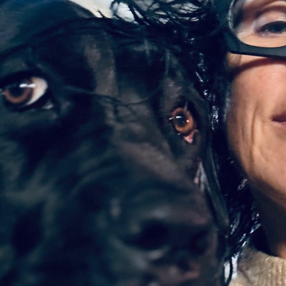 Meet your Posher, Robert - Picture 1 of 1